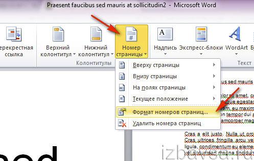меню &laquo;Номер страницы&raquo;