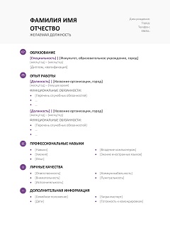 Бланк резюме 5