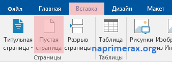 3-kak-vstavit-pustuiu-stranitcu-v-word
