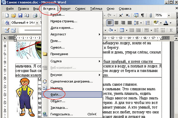меню Вставка – Файл