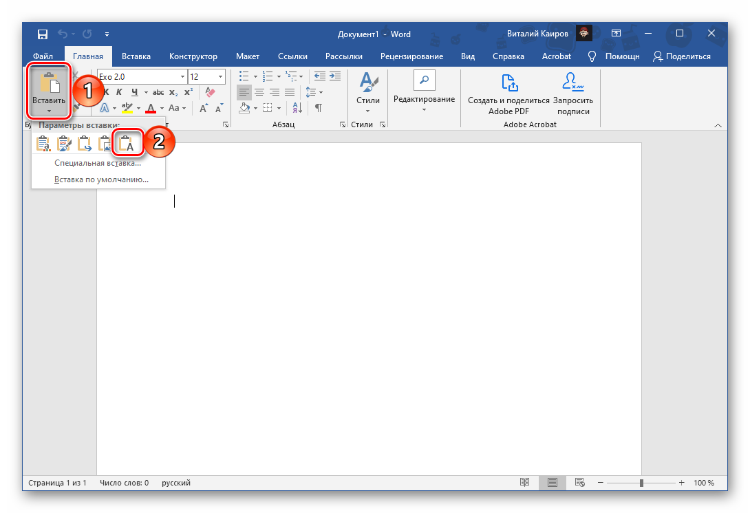 Вставка только текста в документ в программе Microsoft Word