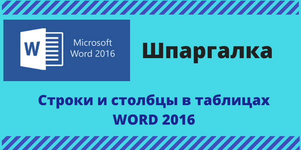 Строки и столбцы в таблицах WORD 2016
