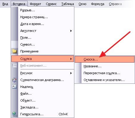откройте меню Вид – Ссылка и выберите Сноска