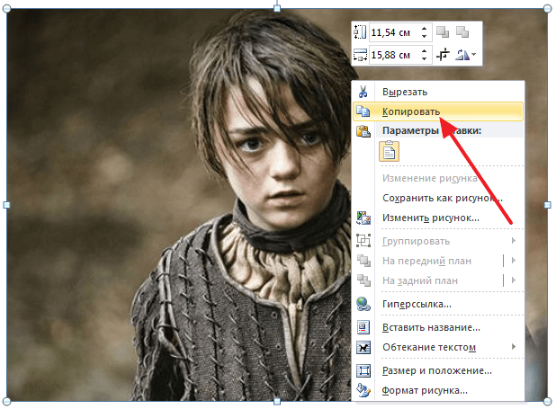 копируем картинку