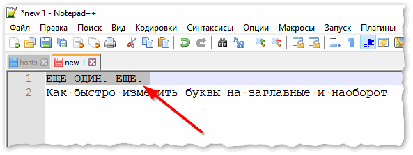 Notepad++ выделили нужный текст