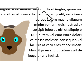 Кнопка