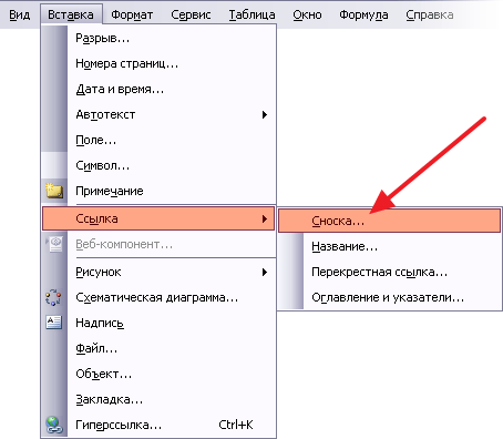 откройте меню Вид – Ссылка и выберите Сноска